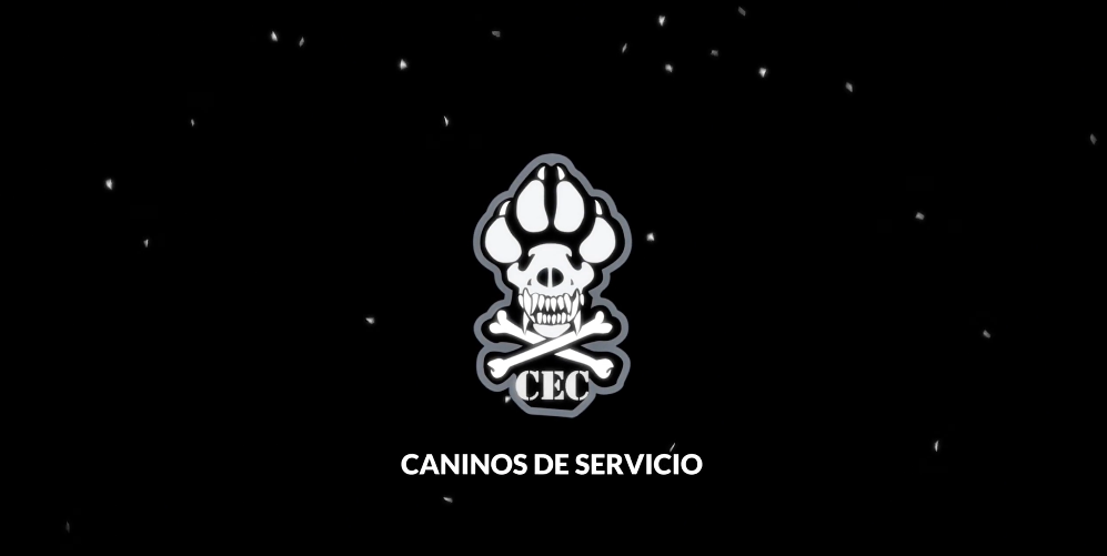 Cargar video: 